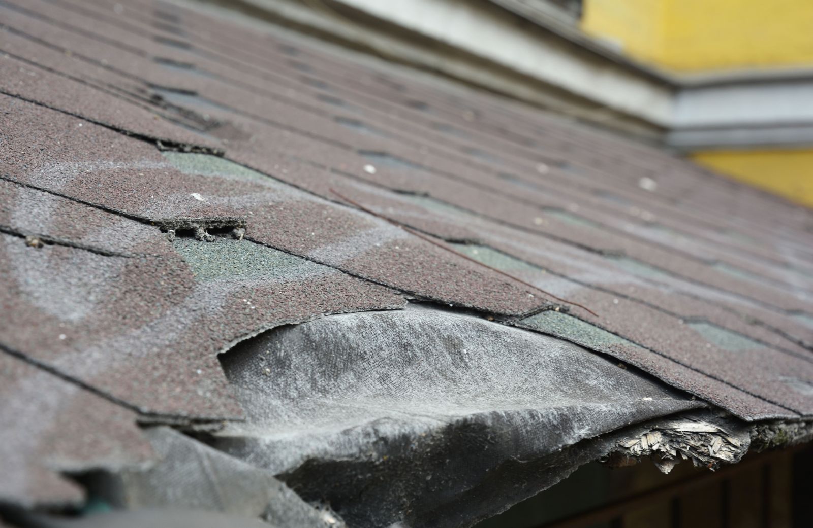 Faulkner Roofing Images